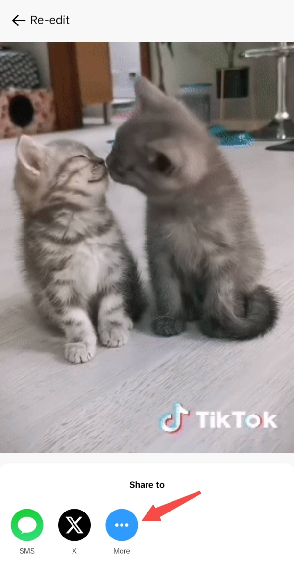 TikTok GIFをシェア